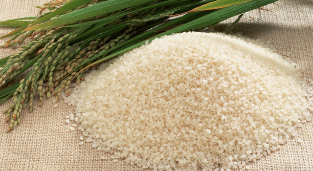 优质水稻，优质大米，长粒香米