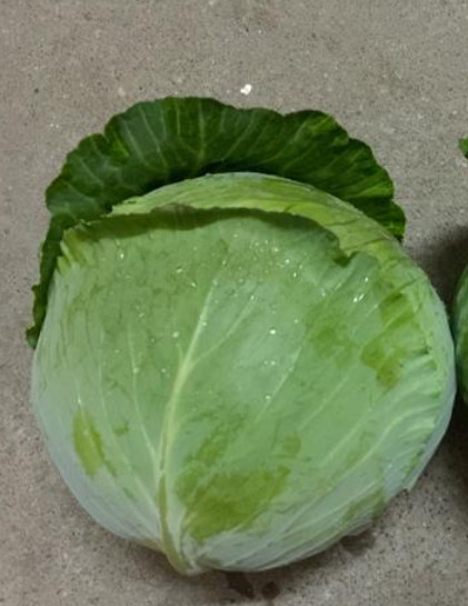 平包，大量上市啦！！！