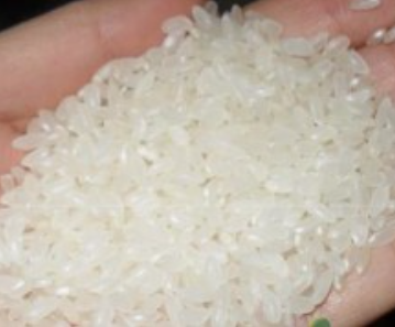 大量求购大米、糯米、碎米、色选米